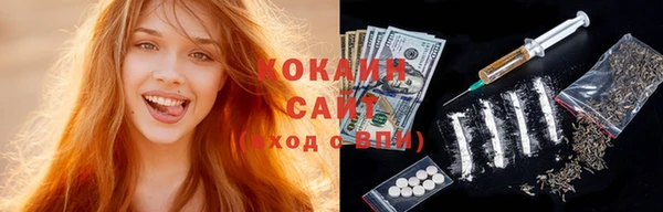 крисы Богородицк