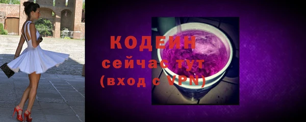 крисы Богородицк