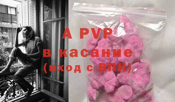 ПСИЛОЦИБИНОВЫЕ ГРИБЫ Богданович