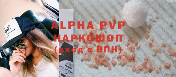 ПСИЛОЦИБИНОВЫЕ ГРИБЫ Богданович