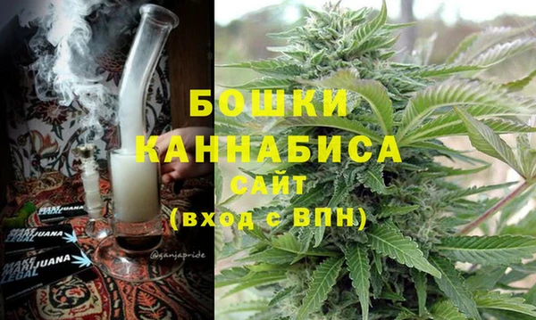 ПСИЛОЦИБИНОВЫЕ ГРИБЫ Богданович