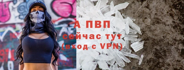 крисы Богородицк