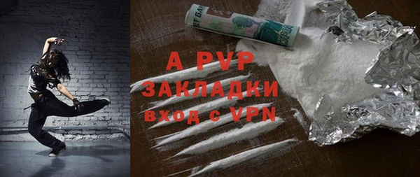 крисы Богородицк