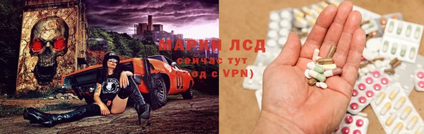 крисы Богородицк
