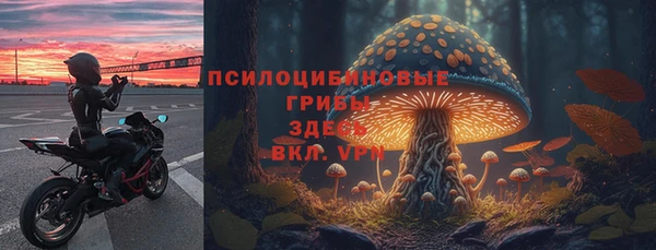ПСИЛОЦИБИНОВЫЕ ГРИБЫ Богданович