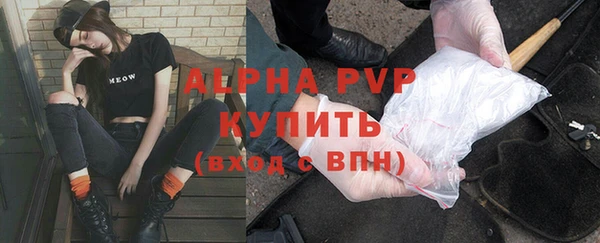 крисы Богородицк