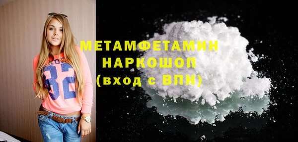 ПСИЛОЦИБИНОВЫЕ ГРИБЫ Богданович