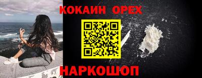 гашик Бийск