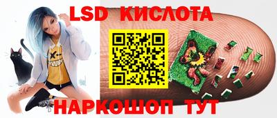 СК Абакан
