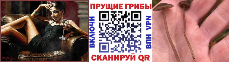 ОМГ ОМГ онион  Воркута  Галлюциногенные грибы мухоморы 