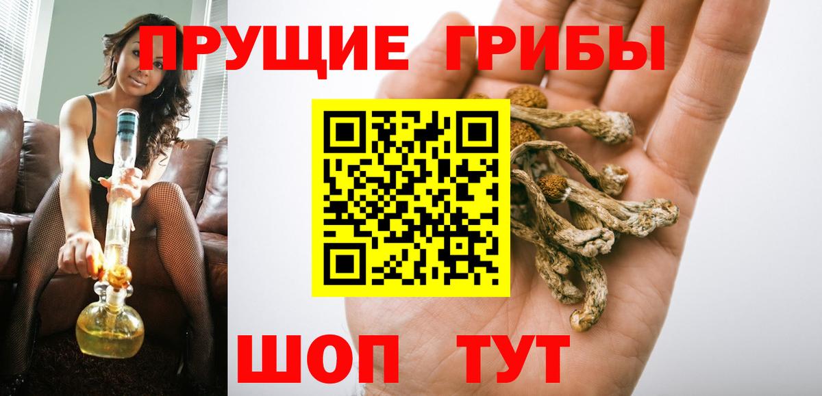 Псилоцибиновые грибы мухоморы Воркута